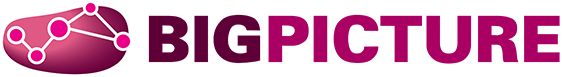 BIGPICTURE logo