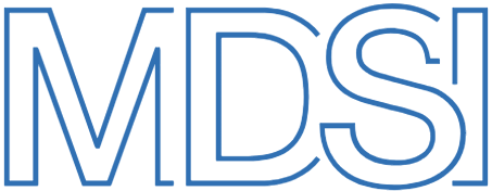 Munich Data Science Institute logo